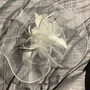 White Head Fascinatior